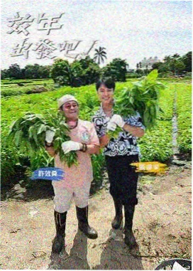 大师兄在线影视免费观看 奔跑吧12